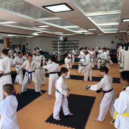 Nishikan Martial Arts